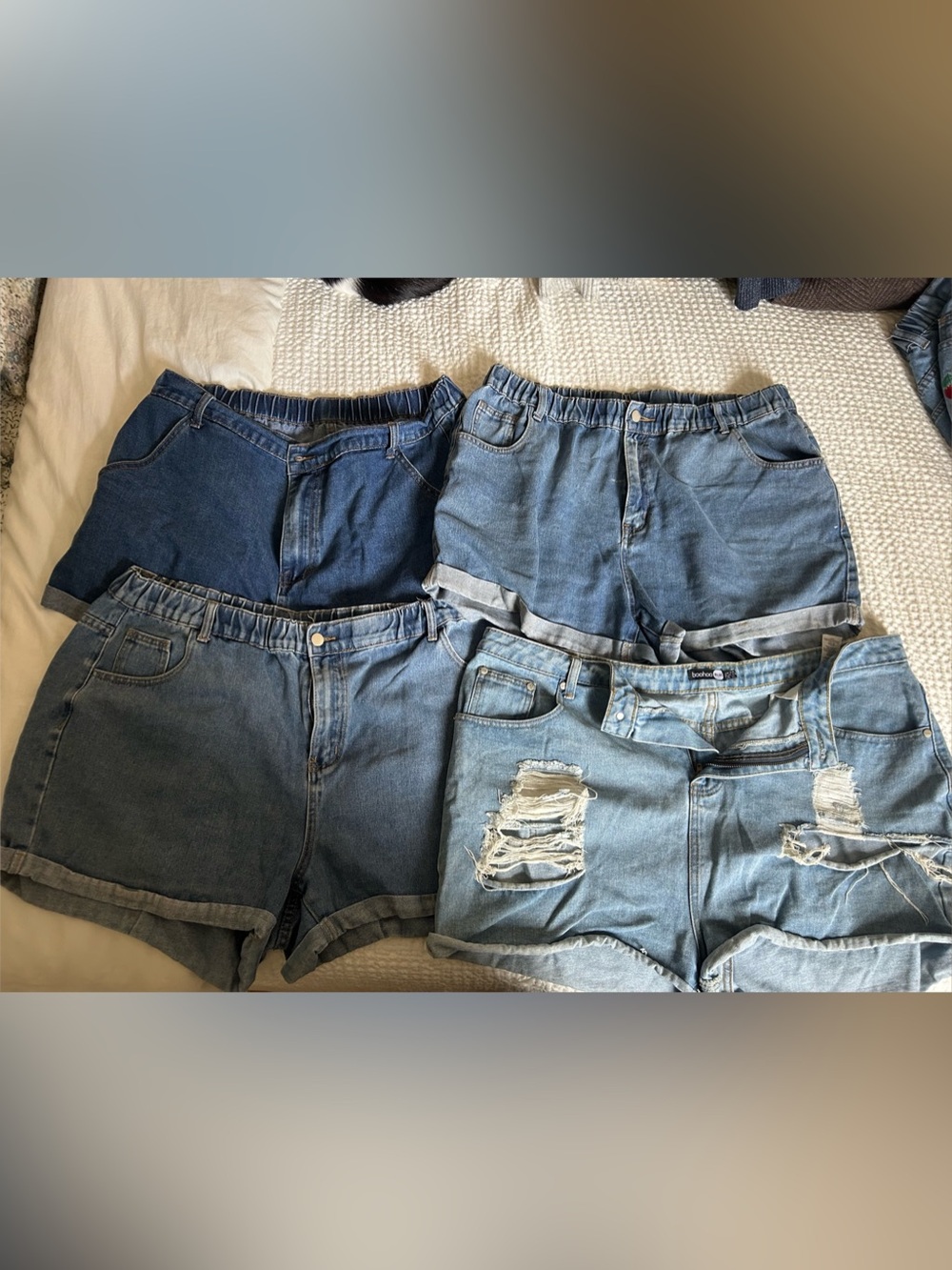 Jean shorts 2XL/16